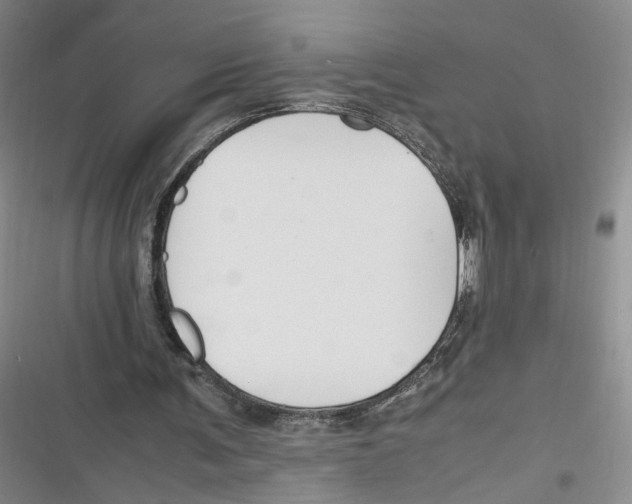 X0000116260291201001110959