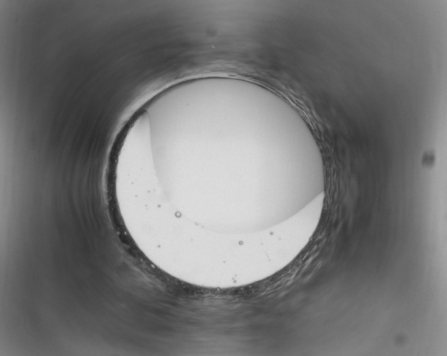 X0000116260292201001110959