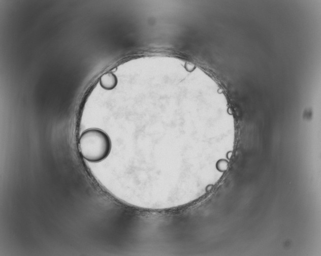 X0000116260293201001110959