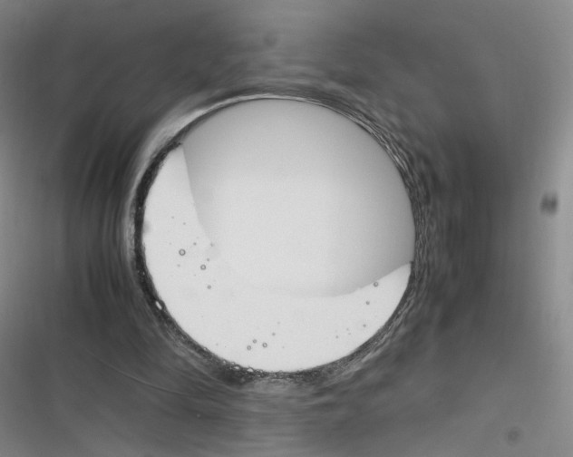 X0000116260294201001110959