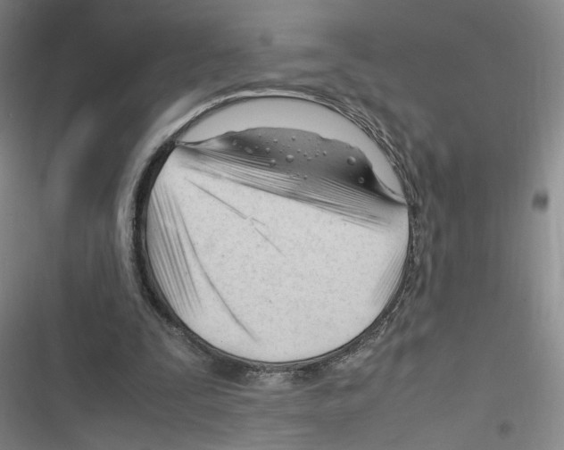 X0000116260295201001110959