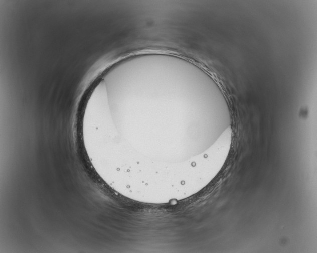 X0000116260296201001110959