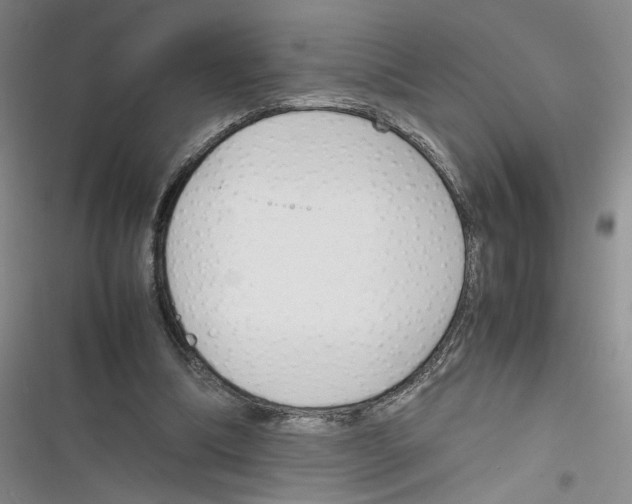 X0000116260298201001110959