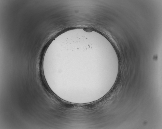 X0000116260299201001110959