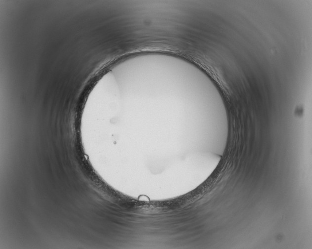 X0000116260300201001110959