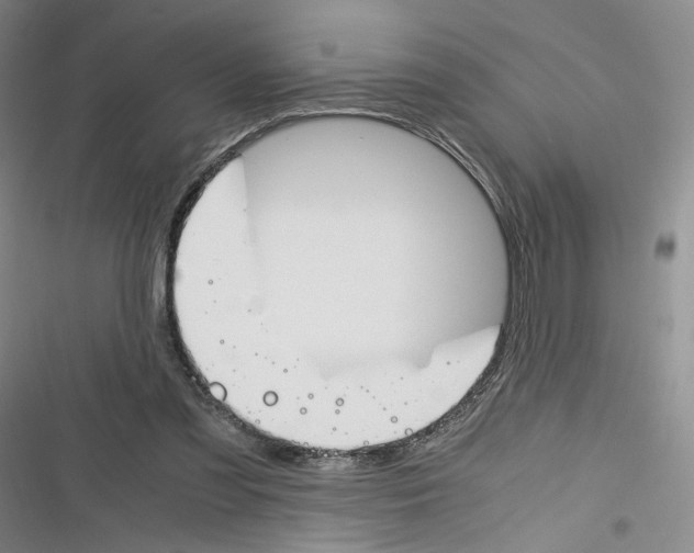 X0000116260301201001110959