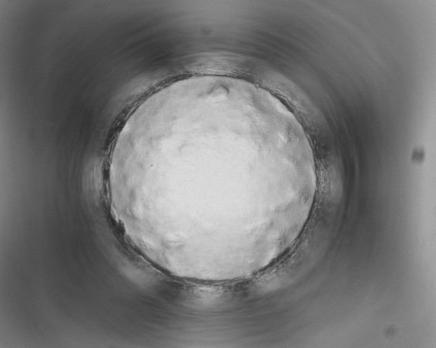 X0000116260302201001110959