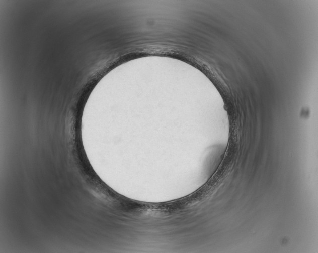 X0000116260303201001110959