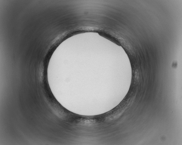 X0000116260304201001110959