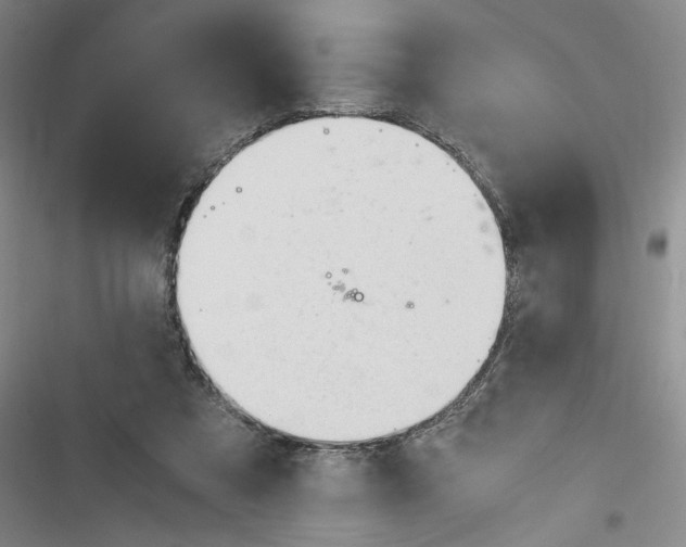 X0000116260305201001110959
