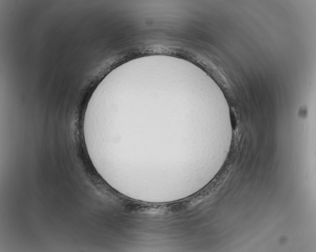 X0000116260306201001110959