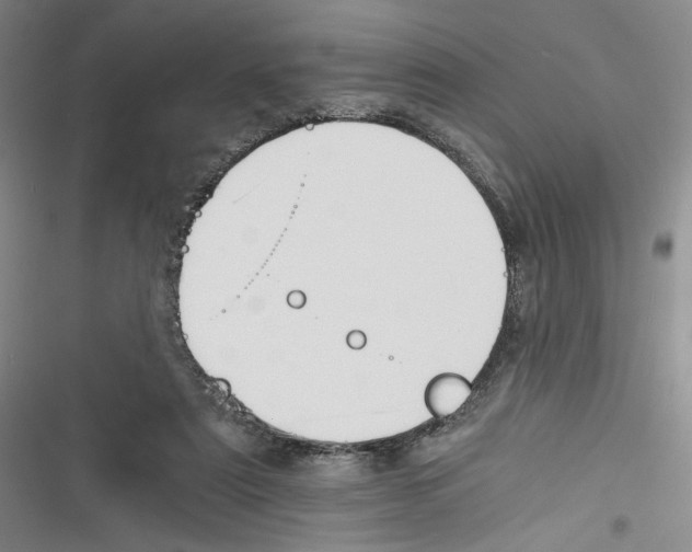 X0000116260307201001110959