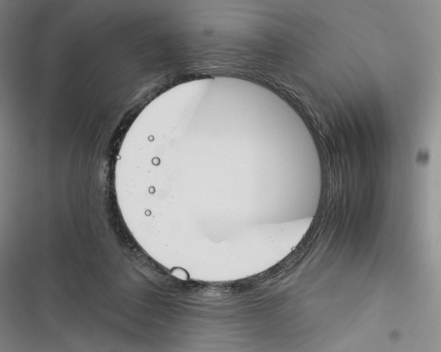 X0000116260308201001110959