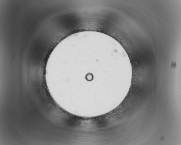 X0000116260309201001110959