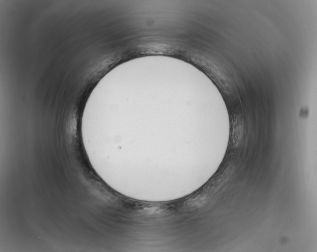 X0000116260310201001110959