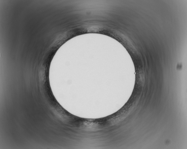 X0000116260311201001110959