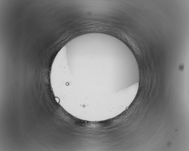 X0000116260313201001110959
