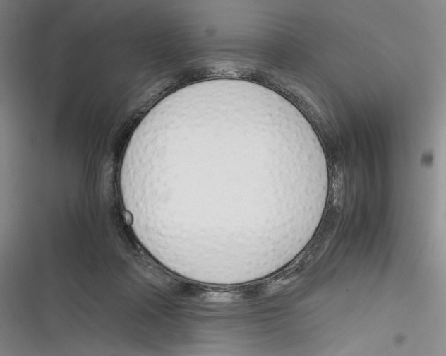 X0000116260314201001110959