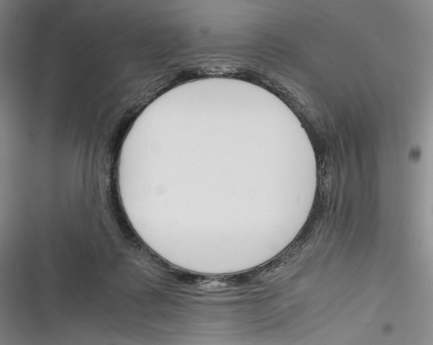 X0000116260315201001110959