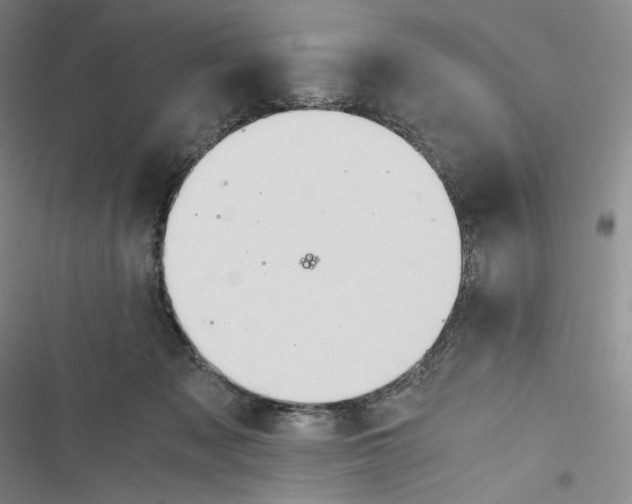 X0000116260317201001110959