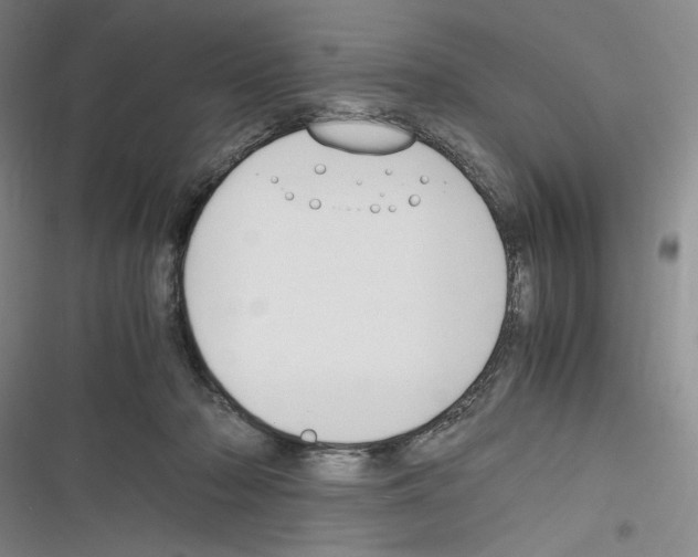X0000116260318201001110959