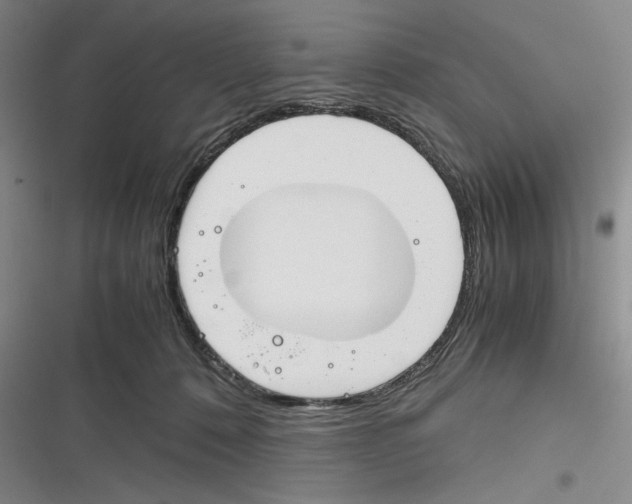X0000116260320201001110959
