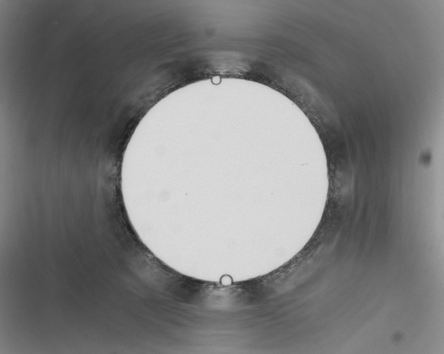 X0000116260321201001110959