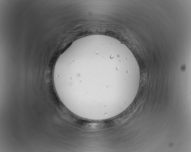 X0000116260323201001110959