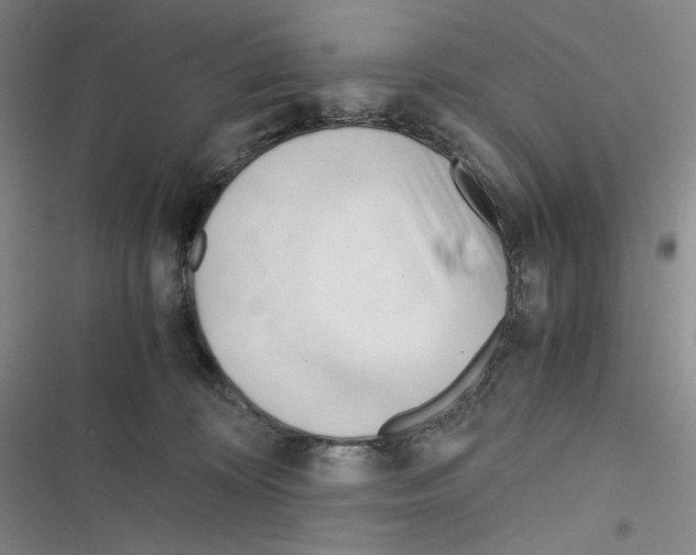X0000116260324201001110959