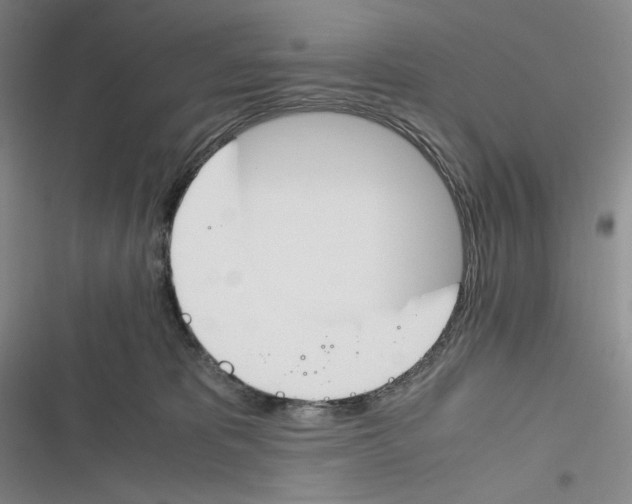 X0000116260325201001110959