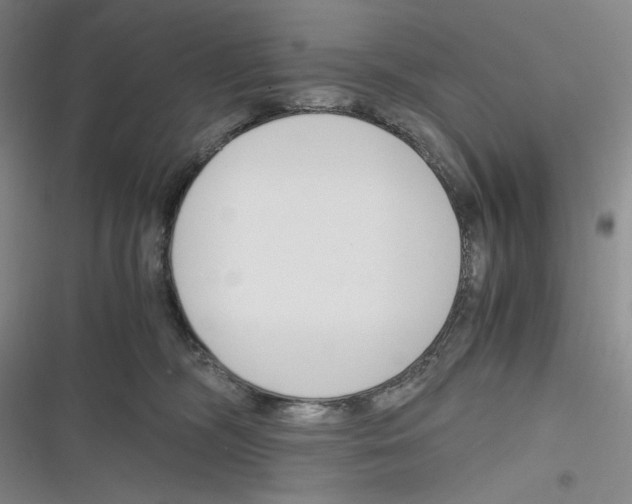 X0000116260326201001110959