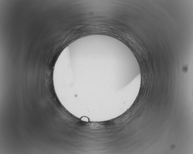 X0000116260327201001110959