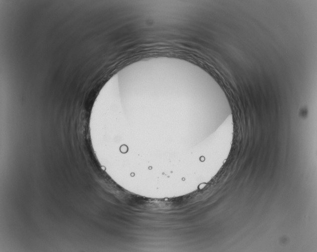 X0000116260328201001110959