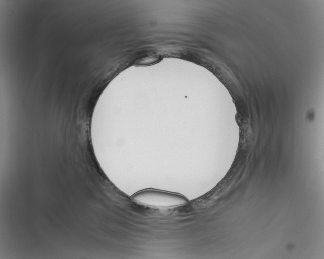 X0000116260329201001110959