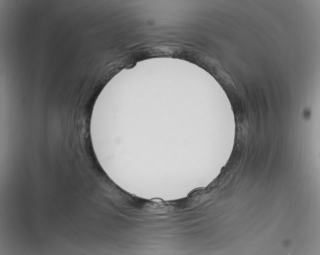 X0000116260331201001110959