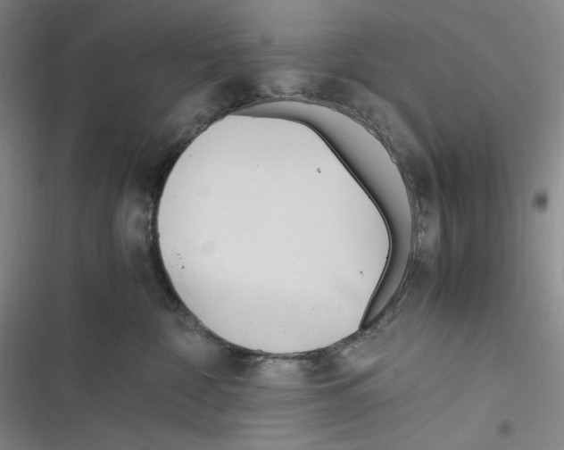 X0000116260332201001110959
