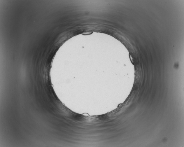 X0000116260333201001110959