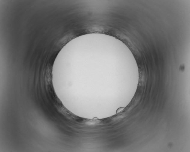 X0000116260334201001110959