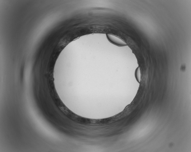 X0000116260335201001110959