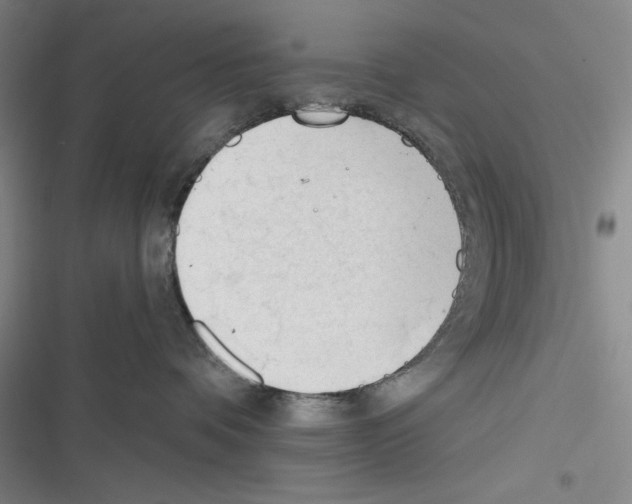 X0000116260336201001110958