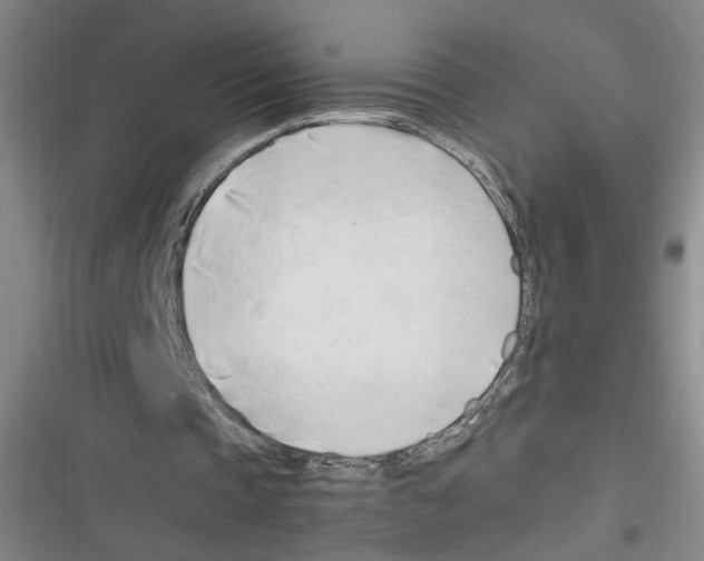 X0000116260337201001110958