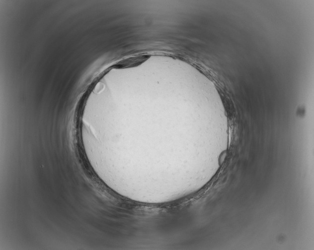 X0000116260339201001110958
