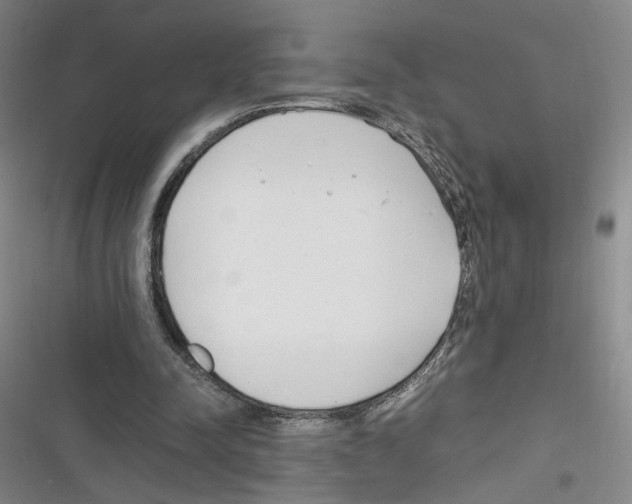 X0000116260342201001110958