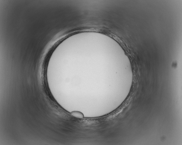 X0000116260343201001110958