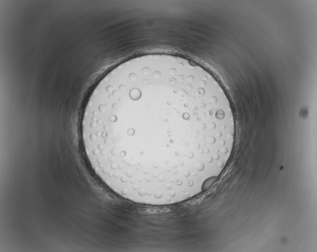 X0000116260345201001110958