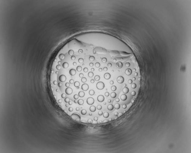 X0000116260346201001110958