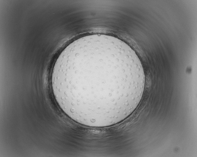 X0000116260347201001110958