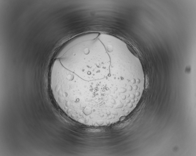 X0000116260349201001110958