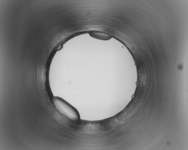 X0000116260350201001110958