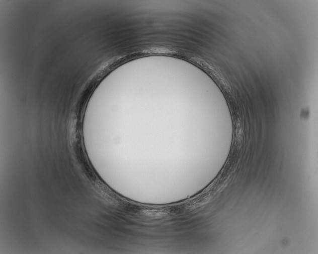 X0000116260351201001110958